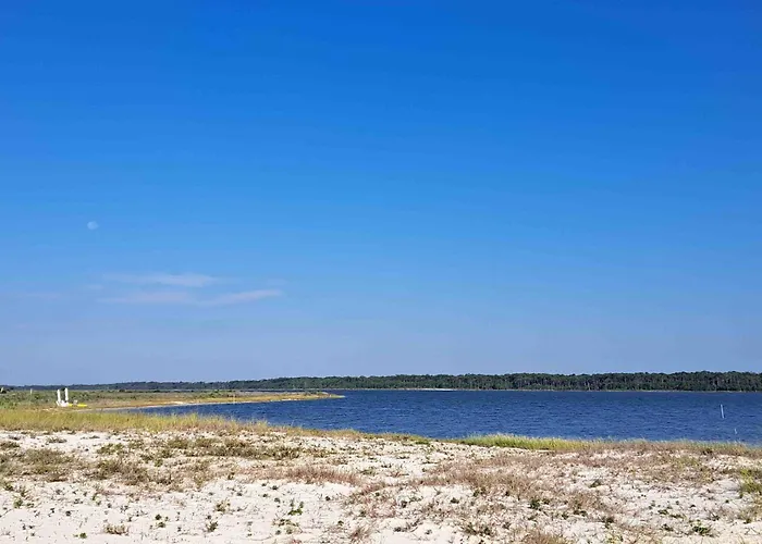 Dog Friendly With Private Internet And Washer And Dryer * Gulf Shores